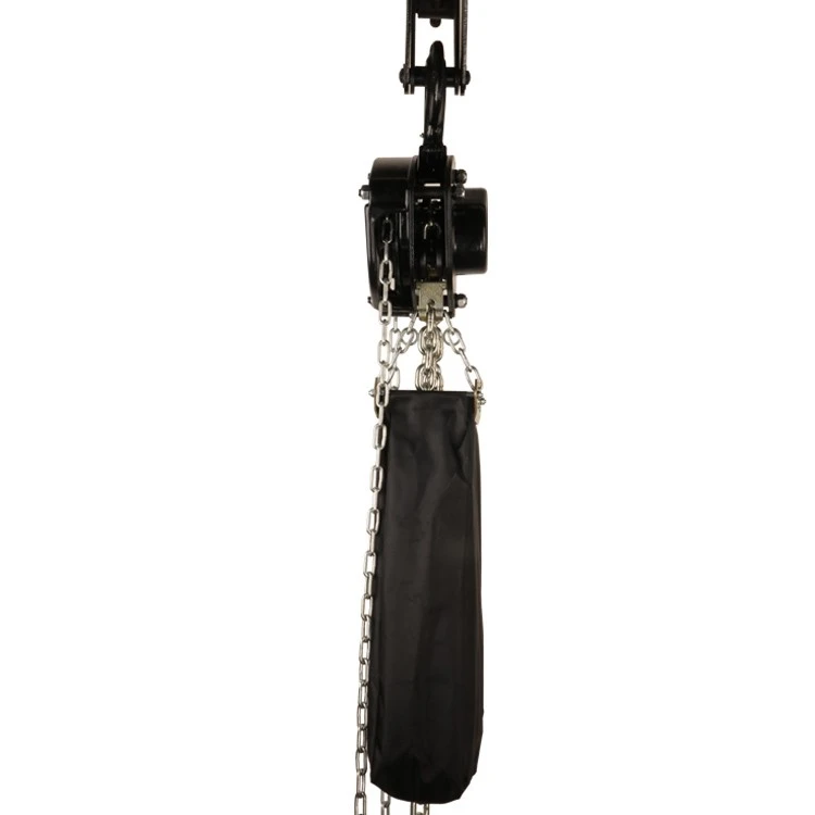 Easy To Operate Theatrical Chain Hoist best